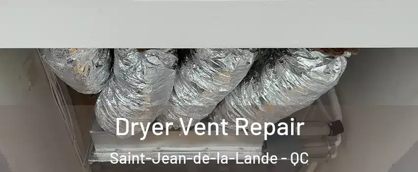  Dryer Vent Repair Saint-Jean-de-la-Lande - QC