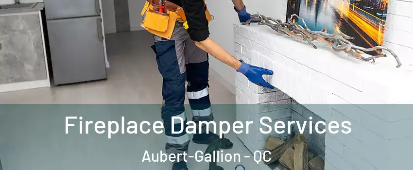 Fireplace Damper Services Aubert-Gallion - QC