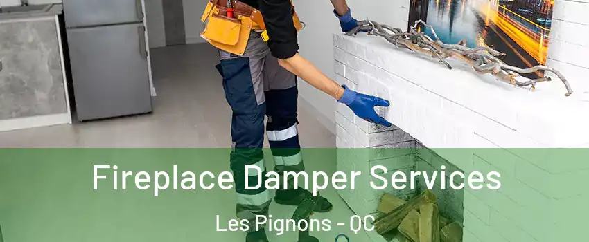  Fireplace Damper Services Les Pignons - QC