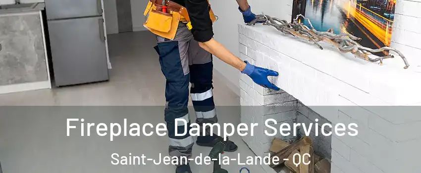  Fireplace Damper Services Saint-Jean-de-la-Lande - QC