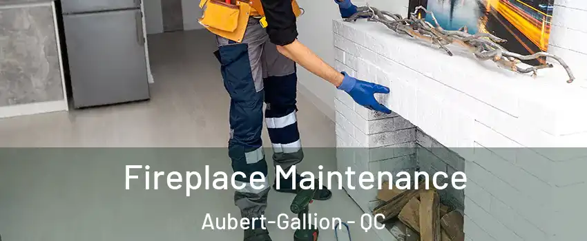  Fireplace Maintenance Aubert-Gallion - QC