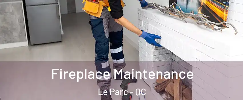  Fireplace Maintenance Le Parc - QC