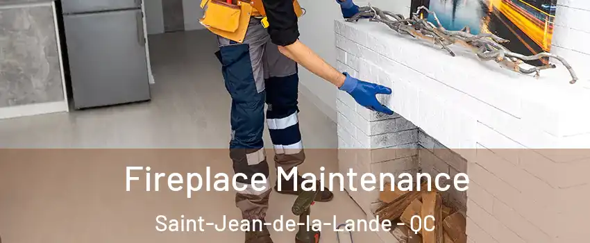  Fireplace Maintenance Saint-Jean-de-la-Lande - QC