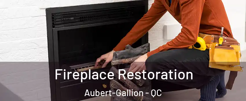  Fireplace Restoration Aubert-Gallion - QC