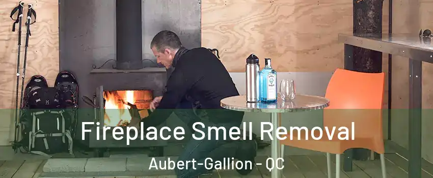  Fireplace Smell Removal Aubert-Gallion - QC