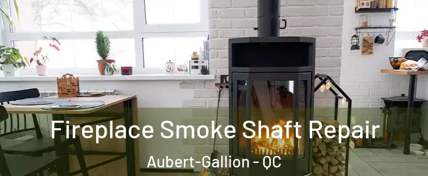  Fireplace Smoke Shaft Repair Aubert-Gallion - QC