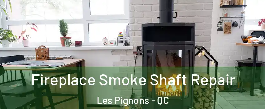  Fireplace Smoke Shaft Repair Les Pignons - QC