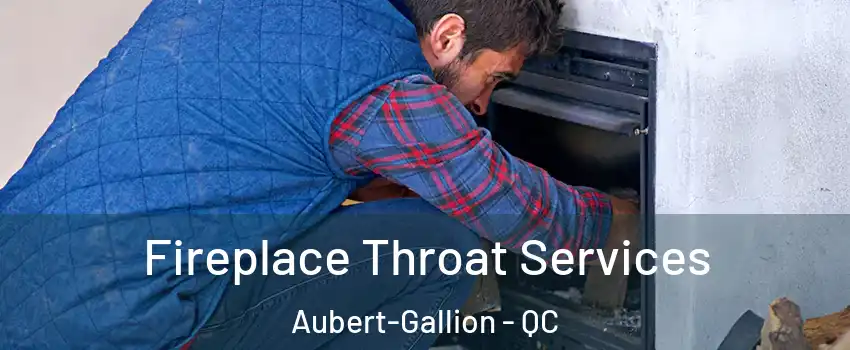  Fireplace Throat Services Aubert-Gallion - QC