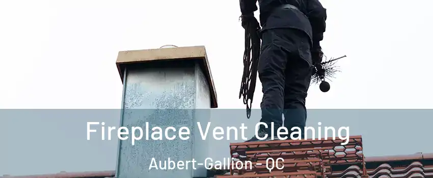  Fireplace Vent Cleaning Aubert-Gallion - QC