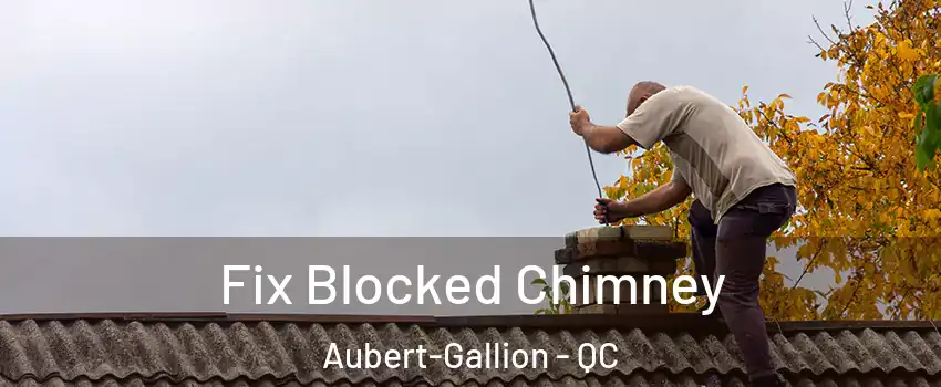  Fix Blocked Chimney Aubert-Gallion - QC