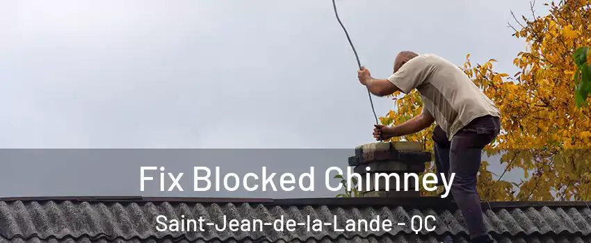  Fix Blocked Chimney Saint-Jean-de-la-Lande - QC