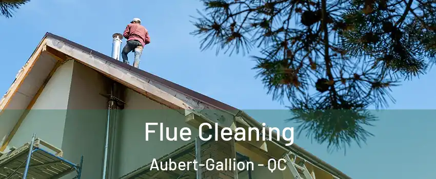  Flue Cleaning Aubert-Gallion - QC