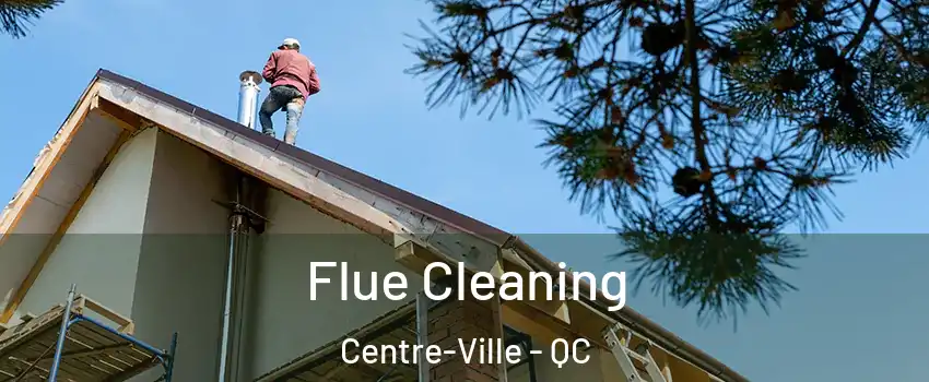  Flue Cleaning Centre-Ville - QC