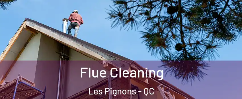  Flue Cleaning Les Pignons - QC