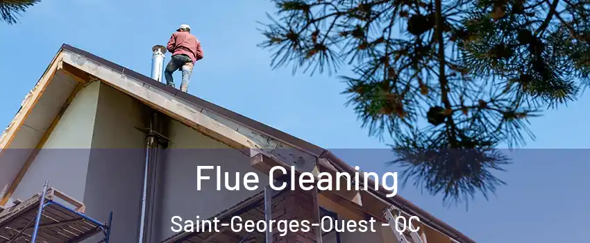  Flue Cleaning Saint-Georges-Ouest - QC