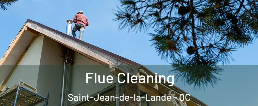  Flue Cleaning Saint-Jean-de-la-Lande - QC