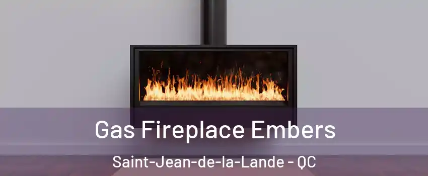  Gas Fireplace Embers Saint-Jean-de-la-Lande - QC