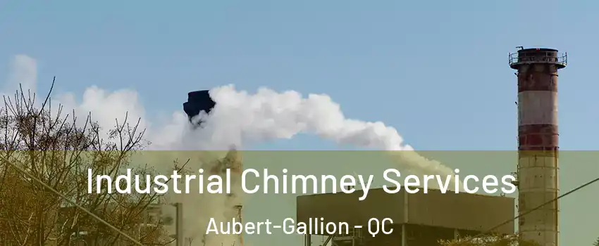  Industrial Chimney Services Aubert-Gallion - QC
