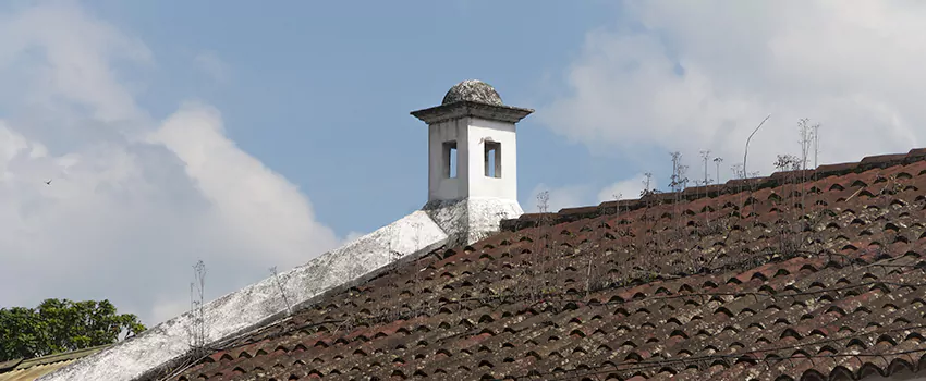Wind-Resistant Chimney Caps Installation and Repair Services in Saint Georges, Quebec