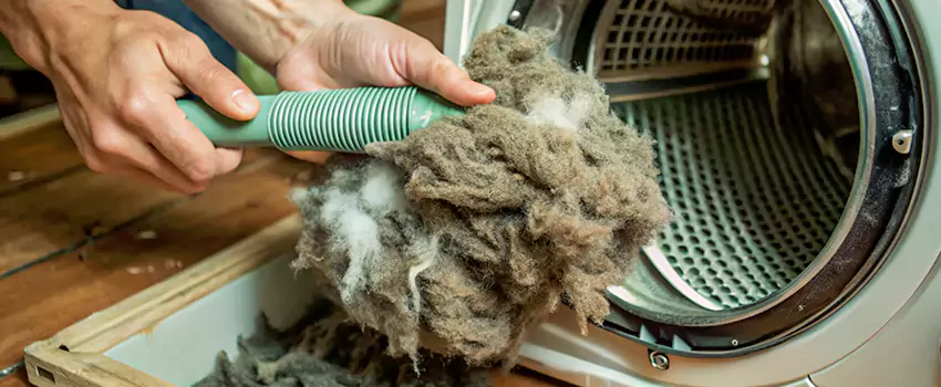 Best Dryer Lint Removal Company in Saint Georges, Quebec