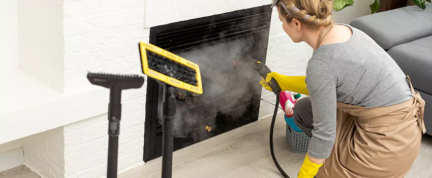 Fireplace Doors Cleaning in Saint Georges, Quebec