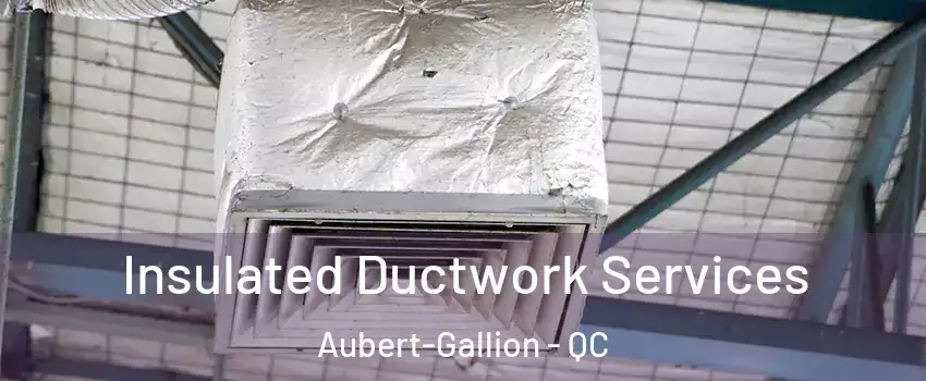  Insulated Ductwork Services Aubert-Gallion - QC