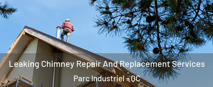  Leaking Chimney Repair And Replacement Services Parc Industriel - QC