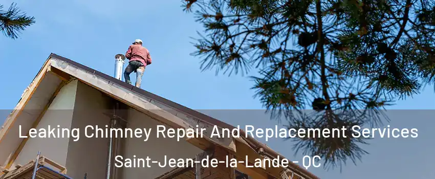  Leaking Chimney Repair And Replacement Services Saint-Jean-de-la-Lande - QC