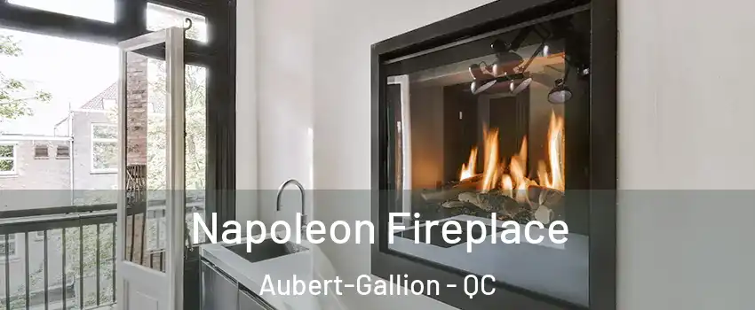  Napoleon Fireplace Aubert-Gallion - QC