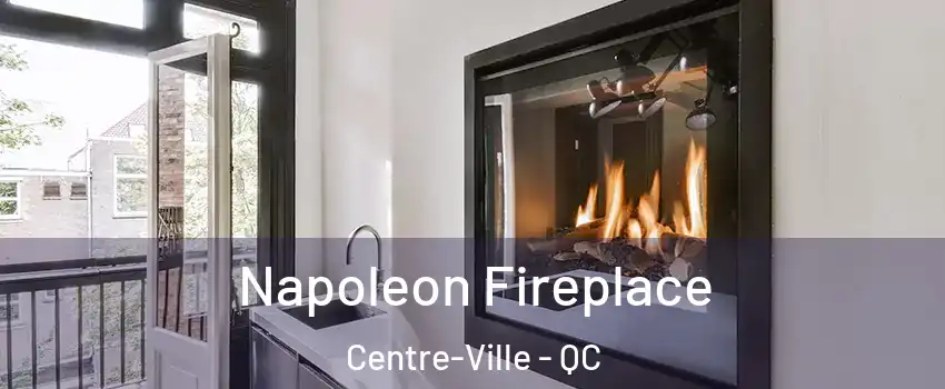  Napoleon Fireplace Centre-Ville - QC