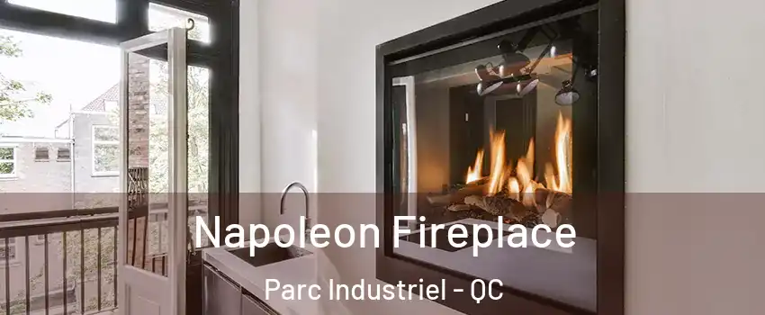  Napoleon Fireplace Parc Industriel - QC