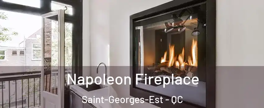  Napoleon Fireplace Saint-Georges-Est - QC