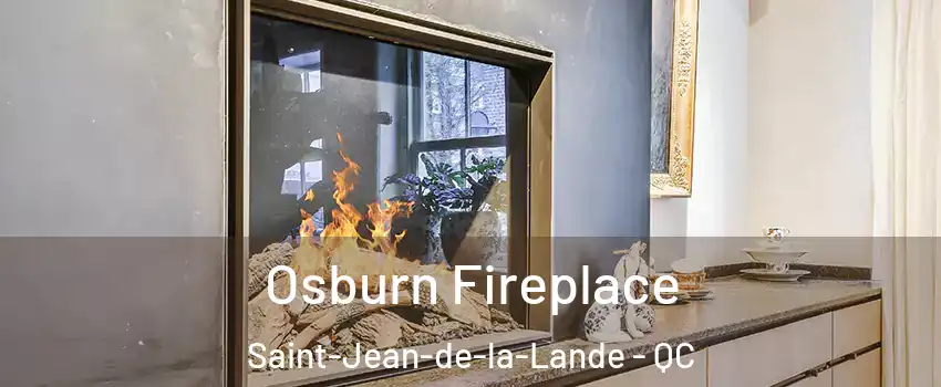  Osburn Fireplace Saint-Jean-de-la-Lande - QC