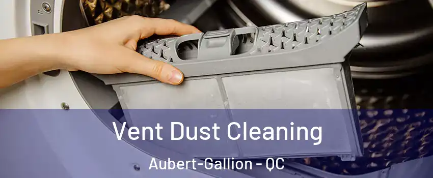  Vent Dust Cleaning Aubert-Gallion - QC