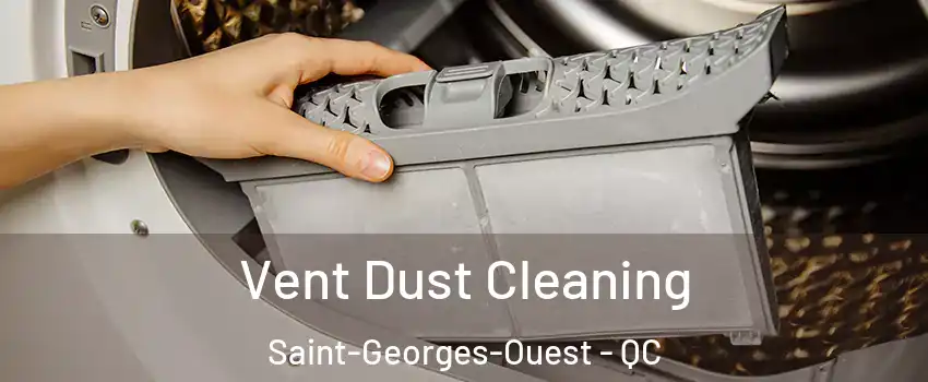  Vent Dust Cleaning Saint-Georges-Ouest - QC