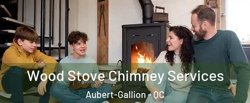  Wood Stove Chimney Services Aubert-Gallion - QC