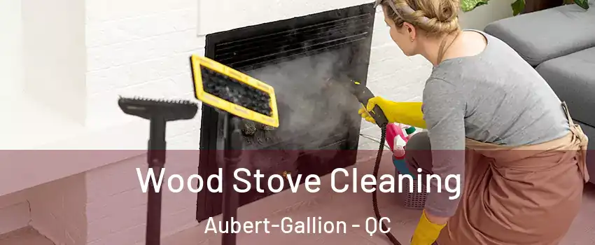  Wood Stove Cleaning Aubert-Gallion - QC